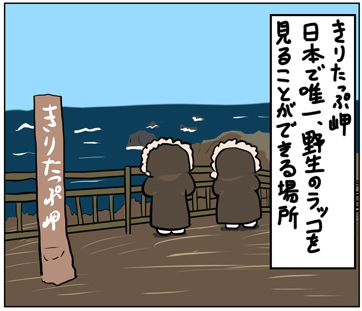 北海道　北国ラッコ